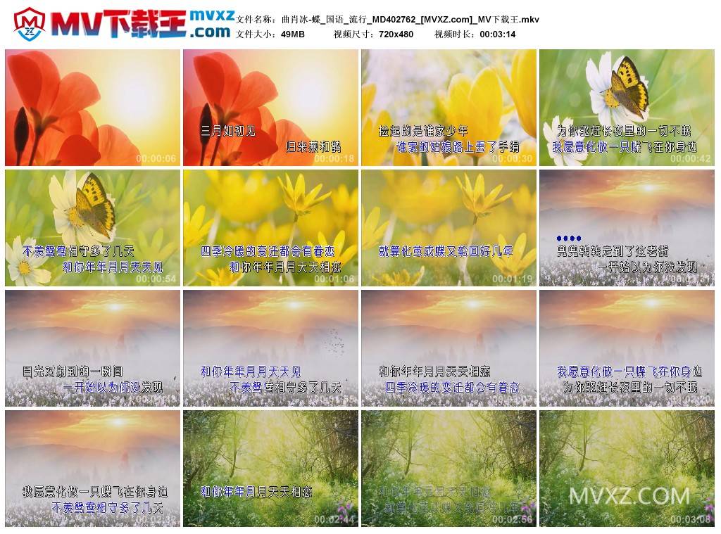 曲肖冰-蝶_国语_流行_MD402762